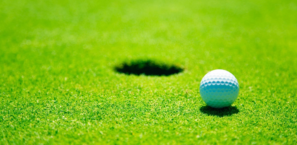 15mm Artificial Golf Court Grass Putting Green