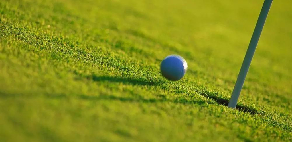 Golf Artificial Grass Turf Hitting Mat for Indoor / Outdoor
